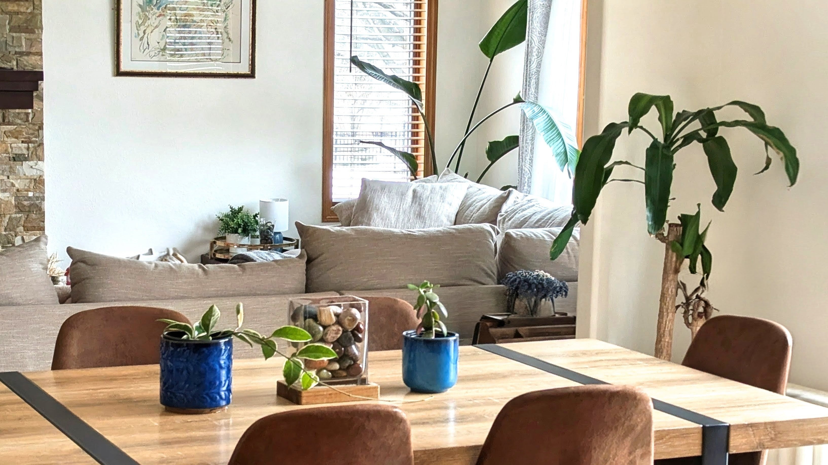 The Forgotten Element of Natural Decor