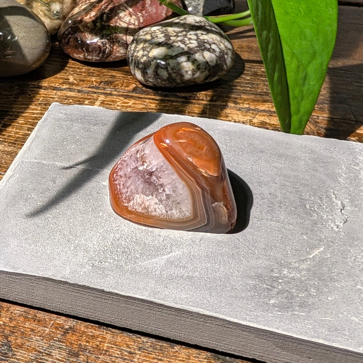 Solitaire No. 121 — Lake Superior Agate