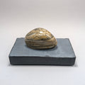Solitaire No. 145 — Great Lakes Stone