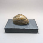Solitaire No. 145 — Great Lakes Stone