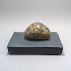 Solitaire No. 145 — Great Lakes Stone